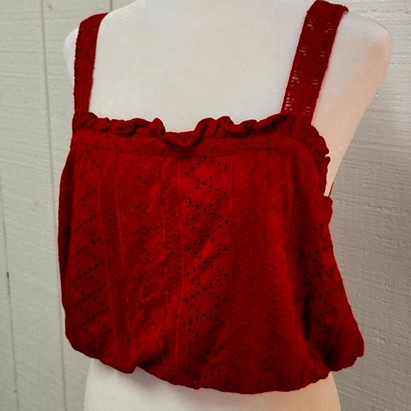 ANTHROPOLOGIE Soigne Red Eyelet Lace Sleeveless Cropped Top Bohemian Summer - Picture 4 of 12